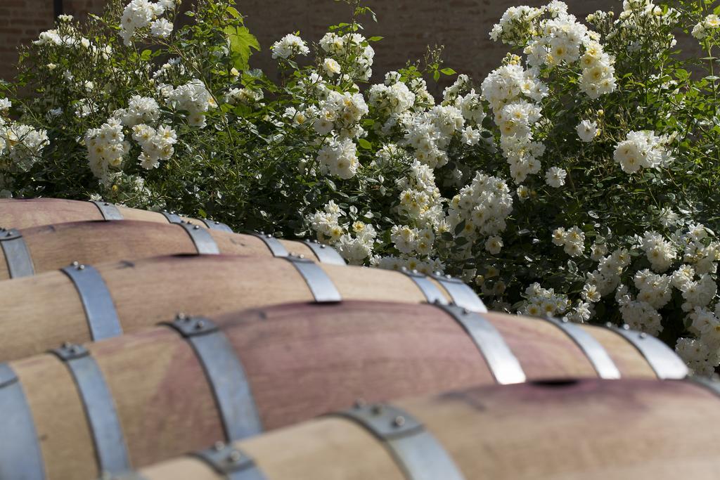Marchesi Alfieri - Cantine E Ospitalita San Martino Alfieri エクステリア 写真