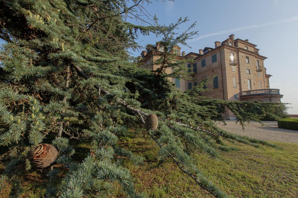 Marchesi Alfieri - Cantine E Ospitalita San Martino Alfieri エクステリア 写真